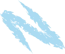 elemento da identidade visual educreser